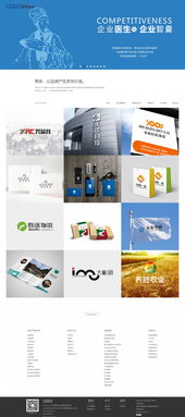 西安最專業(yè)企業(yè)信息化建設(shè)網(wǎng)絡(luò)公司——策泉策劃與硅峰網(wǎng)絡(luò)